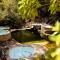 The Baths Natural Hot Springs