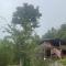 Forest Guesthouse