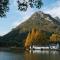 Guilin Camphor Country House Free pick-up service at train station for two nights