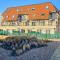 Amazing Apartment In Bredene With Kitchen