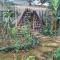 Backpacker Hostel and Jungle Trekking