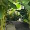 Toucan home