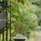 B&B DRESSINGS TRAUMGARTEN