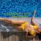Seaview Luxury Villa Jacuzzi & Pool! 2 Min Beach