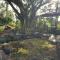 Majestic Banya tree cabin