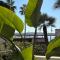 Palm Beach front de mer