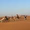Merzouga Desert Campsite &Activities