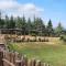 Domaine de la Vitarelle Glamping
