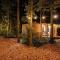 Forest Cabin in the woods