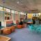 Serendipity Hostel & Cats Cafe