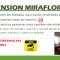 PENSION MIRAFLORES