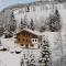 Chalet Huski Viehhofen