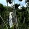 Cozy Homestay Waterfall Road Ella