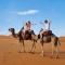 Bivouac Camel Trips