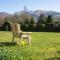 Mizpah Bed & Breakfast near Ben Nevis Highlands