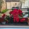 19 Borgo Cavour