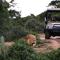 Addo Elephant Safari Lodge - Bellevue Forest Reserve