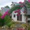 Bohol Lovers Homestay in Anda Bohol nearby beach