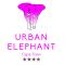 Urban Elephant Express, The Flamingo