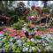 Miaoli Sanyi Bo Wu Guan Homestay