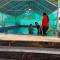 Johnson's Homestay With Pool & Ecohouseboat near town beach