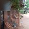Cool Banyan Cabana