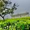 Four Winds Plantation Homestay Approved by Dept of Tourism Govt of Kerala