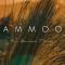 Ammoo