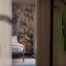 Arco Vecchio Urban Suite - Epoca Collection