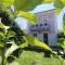 Villa Martina luxury suites