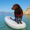 Mila's pet friendly holiday house with private beach place and sunbeds included
