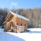 Chalet in Stadl near Kreischberg Ski Slopes