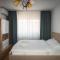 Cazare Medias, apartament modern