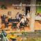 HOSTEL QUINTAL GUEST Ubatuba - PG