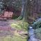 Cozy Creek - A Romantic Smoky Mountain Escape - Relax in a sheltered hot tub with creek-side & holler views - 3 mi to Gatlinburg, P Forge and National Park - listen to gentle mountain streams at this peaceful retreat in the heart of the Smokies