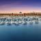 Pickalbatros SUNGO Club - All Inclusive