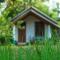 Little Haven Cottage