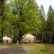Yosemite Lakes Yurts