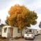 Wodonga Caravan & Cabin Park