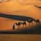 Camels House