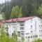 Hotel NOU Codrin