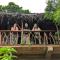 Sigiriya Rock View Tree house