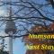 Namsan Nest