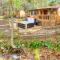 Hidden Gem Creekside Cottage in Maggie Valley