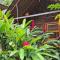 Casa kumake tayrona