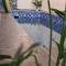 Marang Private Pool Homestay - 3-Bedroom - Family & Group Stay