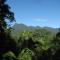 Mossman Gorge Bed and Breakfast