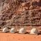 Wadi Rum Bedouin Heritage Camp
