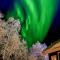 Holiday Home Tunturikuksa by Interhome
