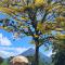 Pura Vista Glamping